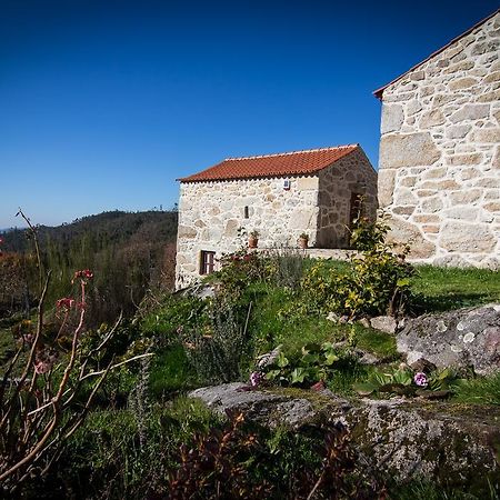 Gasthaus Casas Dos Avos Vale de Cambra Zimmer foto