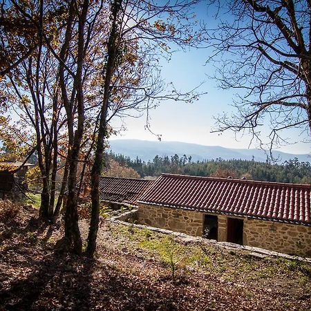 Gasthaus Casas Dos Avos Vale de Cambra Zimmer foto